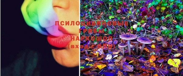 ECSTASY Навашино