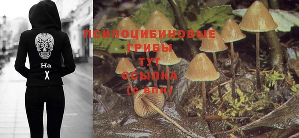 ECSTASY Навашино