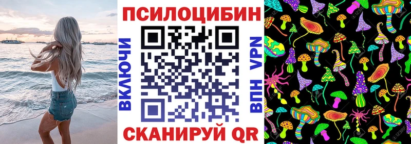 Галлюциногенные грибы Psilocybe  купить наркоту  Юрга 